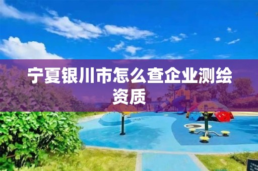 寧夏銀川市怎么查企業(yè)測繪資質(zhì)