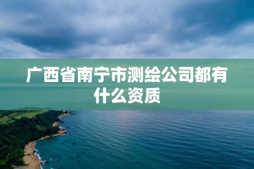 廣西省南寧市測繪公司都有什么資質(zhì)