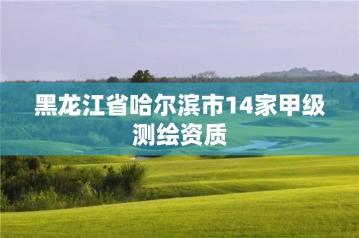 黑龍江省哈爾濱市14家甲級測繪資質