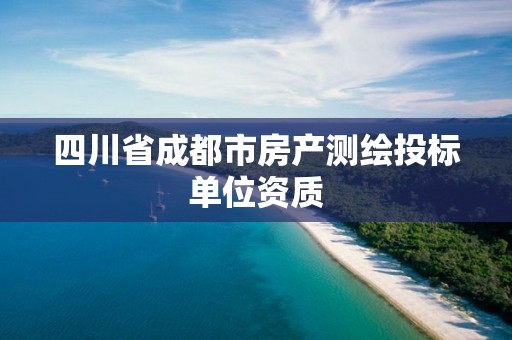 四川省成都市房產(chǎn)測繪投標單位資質(zhì)