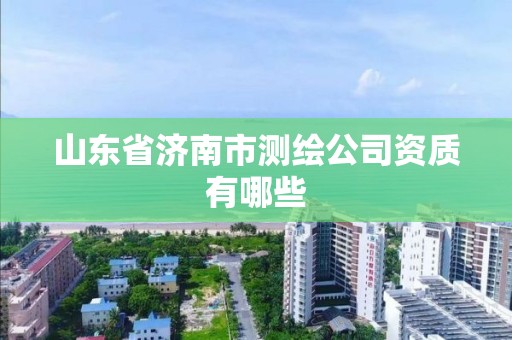 山東省濟南市測繪公司資質有哪些