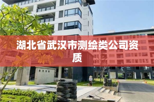 湖北省武漢市測繪類公司資質(zhì)