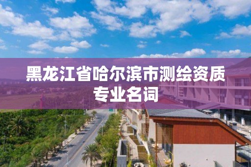 黑龍江省哈爾濱市測繪資質專業名詞