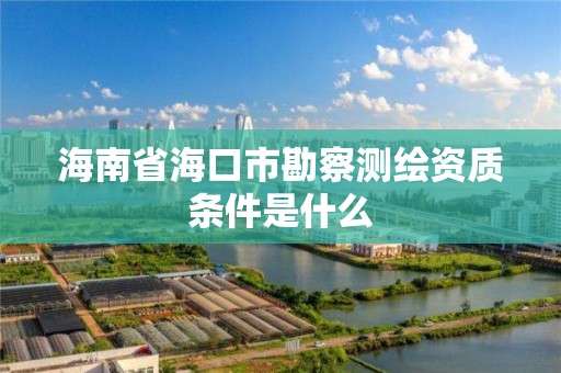 海南省海口市勘察測繪資質條件是什么