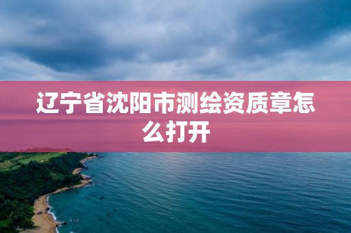 遼寧省沈陽市測繪資質章怎么打開