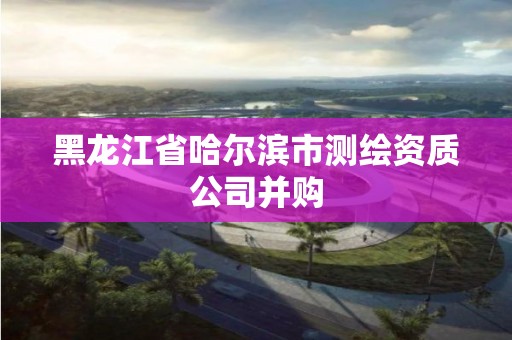 黑龍江省哈爾濱市測繪資質公司并購