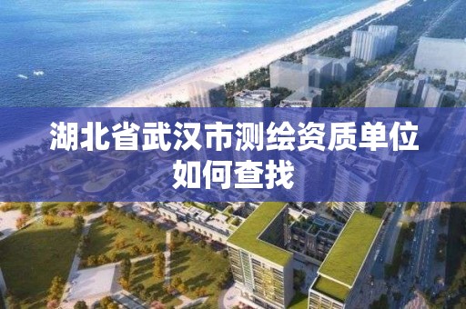 湖北省武漢市測繪資質單位如何查找