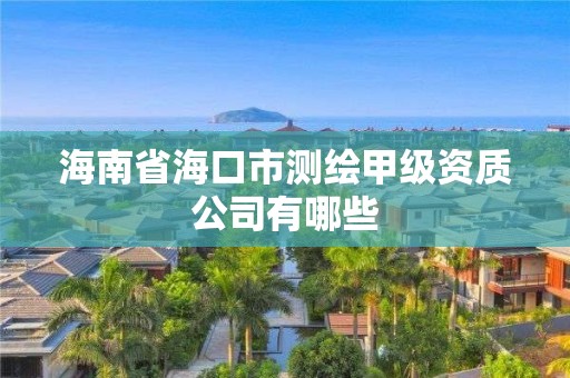 海南省海口市測(cè)繪甲級(jí)資質(zhì)公司有哪些