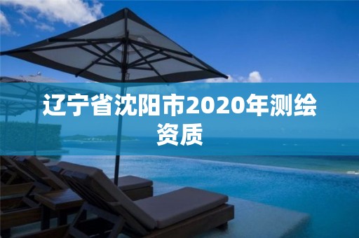 遼寧省沈陽市2020年測繪資質