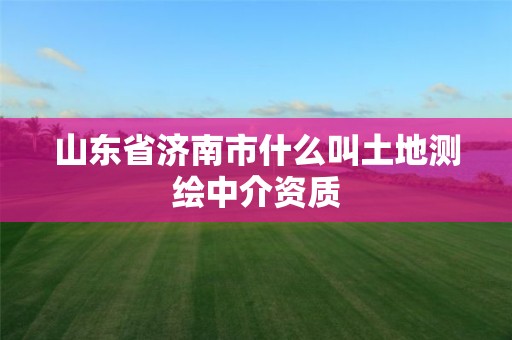 山東省濟南市什么叫土地測繪中介資質