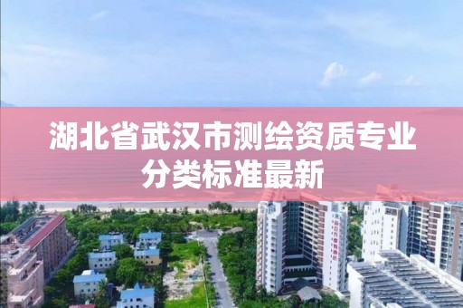 湖北省武漢市測繪資質專業(yè)分類標準最新