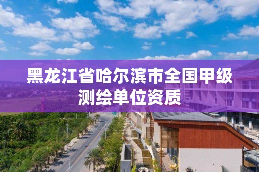 黑龍江省哈爾濱市全國甲級測繪單位資質