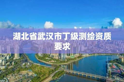 湖北省武漢市丁級(jí)測繪資質(zhì)要求