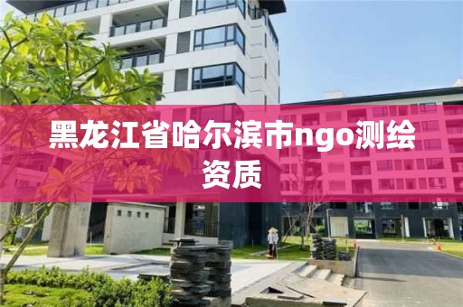 黑龍江省哈爾濱市ngo測繪資質