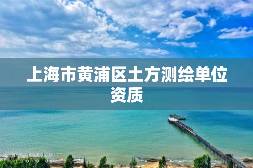 上海市黃浦區(qū)土方測繪單位資質