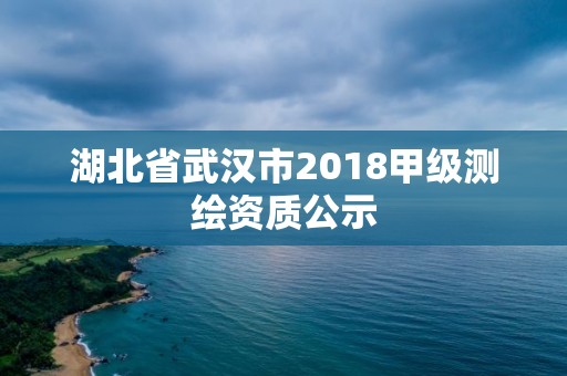 湖北省武漢市2018甲級測繪資質公示