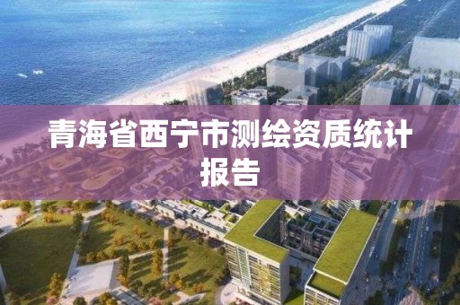 青海省西寧市測繪資質統(tǒng)計報告