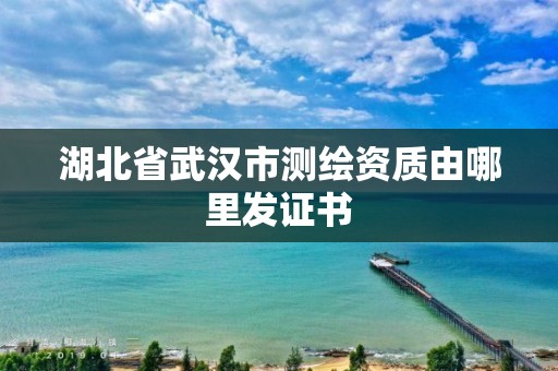 湖北省武漢市測繪資質由哪里發證書