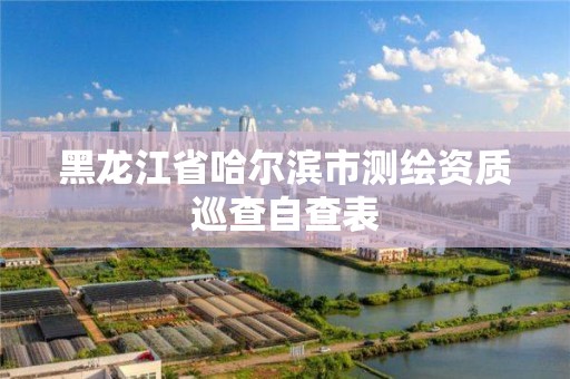 黑龍江省哈爾濱市測繪資質巡查自查表