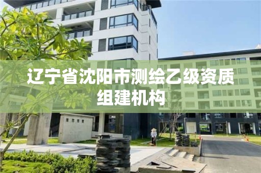 遼寧省沈陽市測繪乙級資質組建機構