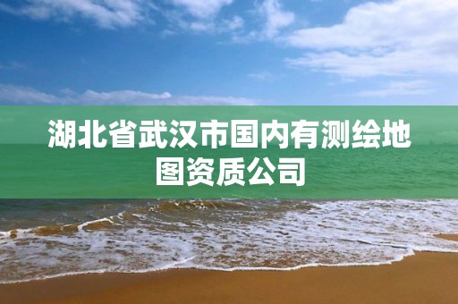 湖北省武漢市國內(nèi)有測繪地圖資質(zhì)公司