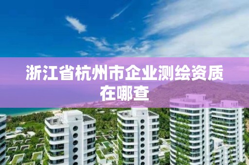 浙江省杭州市企業測繪資質在哪查