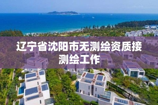 遼寧省沈陽市無測繪資質接測繪工作