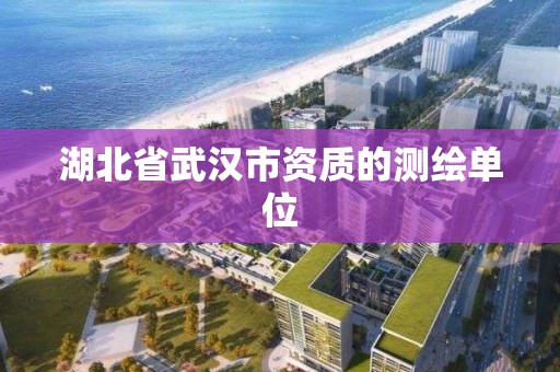 湖北省武漢市資質的測繪單位