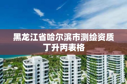 黑龍江省哈爾濱市測繪資質丁升丙表格