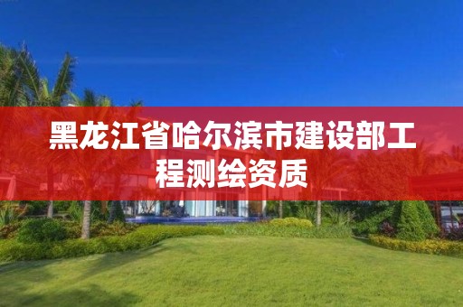 黑龍江省哈爾濱市建設(shè)部工程測(cè)繪資質(zhì)