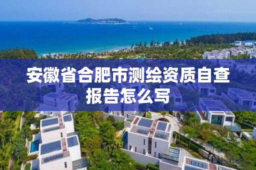 安徽省合肥市測繪資質自查報告怎么寫