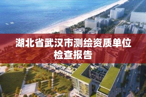 湖北省武漢市測繪資質(zhì)單位檢查報告