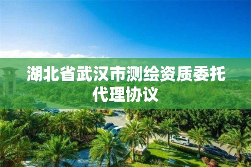 湖北省武漢市測繪資質委托代理協議