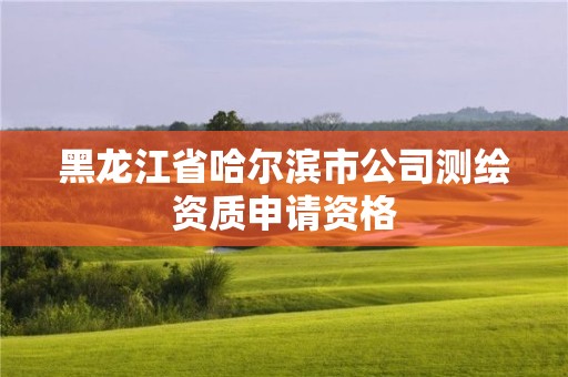 黑龍江省哈爾濱市公司測繪資質(zhì)申請資格