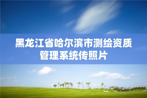 黑龍江省哈爾濱市測繪資質管理系統傳照片