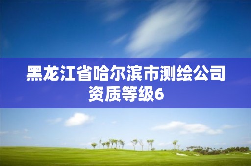 黑龍江省哈爾濱市測繪公司資質(zhì)等級6