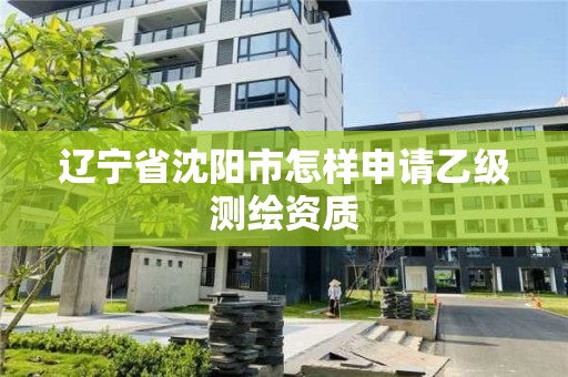 遼寧省沈陽市怎樣申請乙級測繪資質