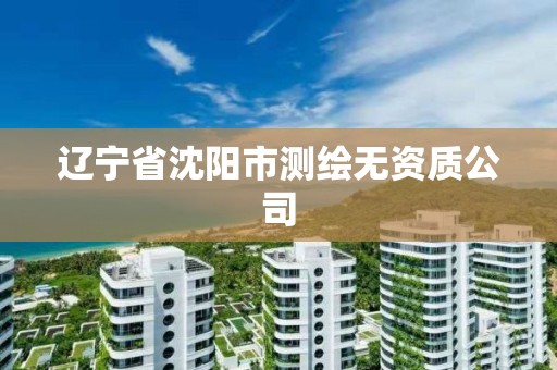 遼寧省沈陽市測繪無資質公司