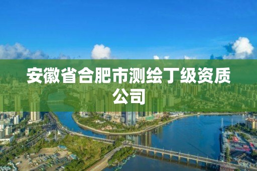 安徽省合肥市測繪丁級資質(zhì)公司