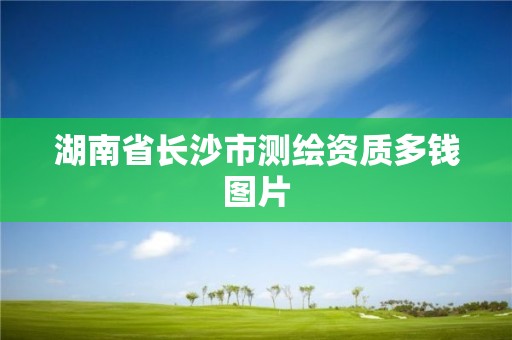 湖南省長沙市測繪資質多錢圖片