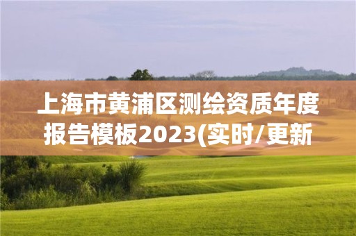 上海市黃浦區測繪資質年度報告模板2023(實時/更新中)