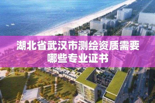 湖北省武漢市測繪資質需要哪些專業證書