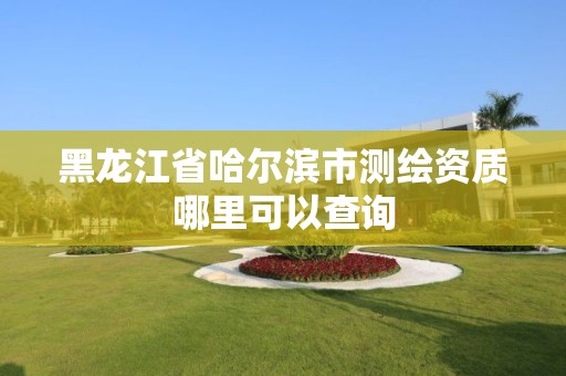 黑龍江省哈爾濱市測繪資質哪里可以查詢