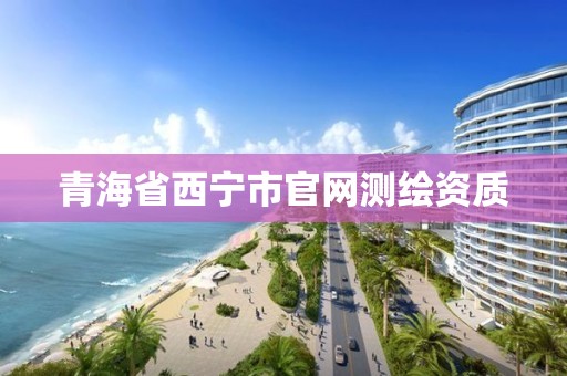 青海省西寧市官網測繪資質