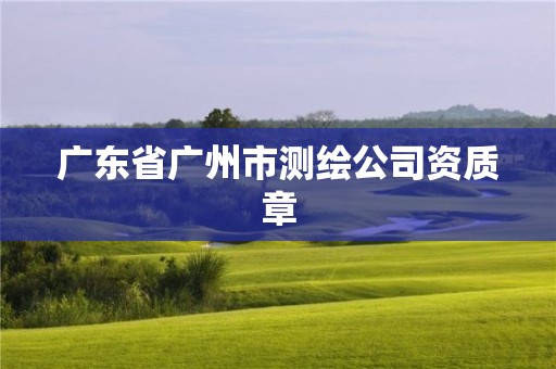 廣東省廣州市測繪公司資質章