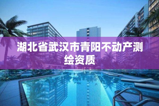 湖北省武漢市青陽不動產測繪資質