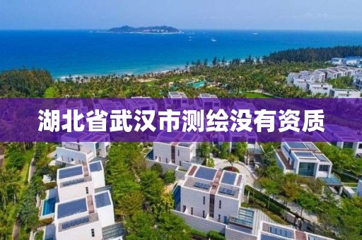 湖北省武漢市測繪沒有資質(zhì)