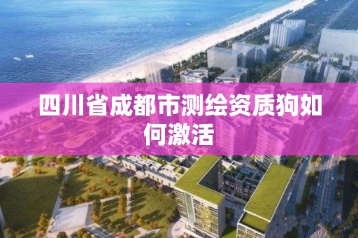 四川省成都市測繪資質狗如何激活