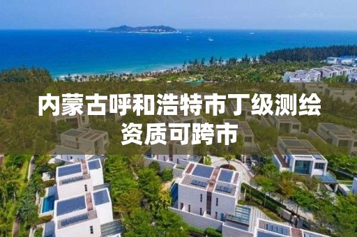 內蒙古呼和浩特市丁級測繪資質可跨市