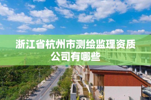 浙江省杭州市測繪監理資質公司有哪些